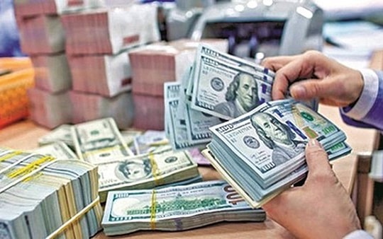 6 tháng đầu năm, lượng kiều hối về TP. HCM tăng 22,34%