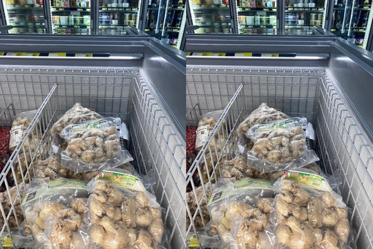 Xuất khẩu gừng Việt Nam sang Úc tăng trưởng 1350 % so với cùng kỳ