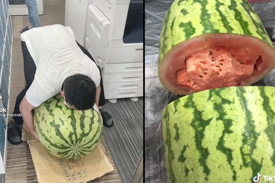 'Vật lộn' bổ quả dưa hấu 'đột biến' nặng 95kg, dài gần 1 mét, thành quả lại khiến tất cả thất vọng