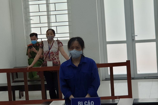 Nữ cựu luật sư lĩnh án 20 tháng tù 
