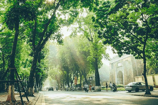 Ngày 21/7, Bắc Bộ ngày nắng, chiều có mưa dông rải rác