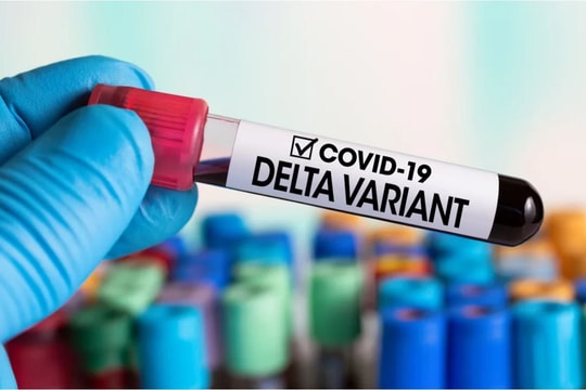 Tin vắn thế giới ngày 21/7: Biến thể Delta chiếm tới 83% số ca được giải trình tự gen tại Mỹ