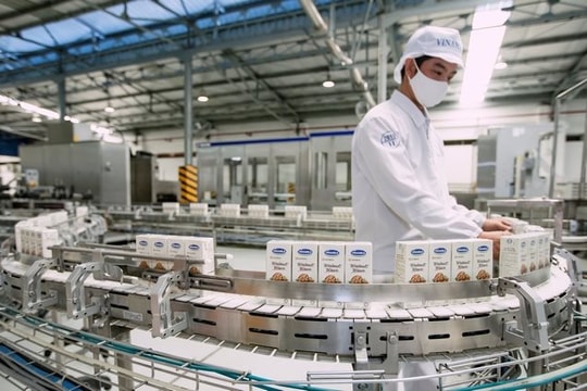 Vinamilk vững vàng giữa đại dịch nhờ thực hiện hiệu quả “mục tiêu kép”