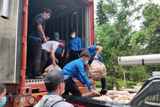 Đảm bảo cung ứng đủ hàng nông sản 
tiêu dùng các tỉnh phía Nam
