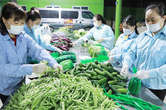 Đổi mới phương thức, mở rộng thị trường tiêu thụ nông sản trong bối cảnh dịch Covid-19
