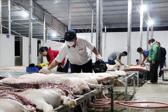 Cấp bách thiết lập an toàn cho các cơ sở giết mổ và chế biến thủy sản