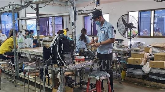 Quyết không để đứt gãy chuỗi sản xuất và cung ứng hàng hóa
