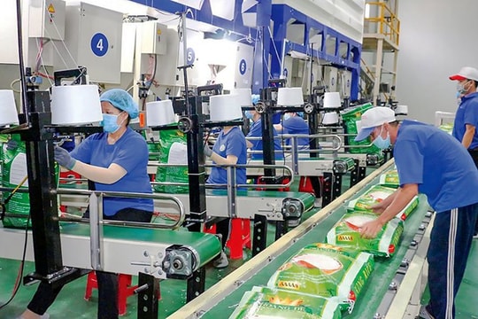 Nông sản Việt Nam vượt qua đại dịch chinh phục thị trường Châu Âu
