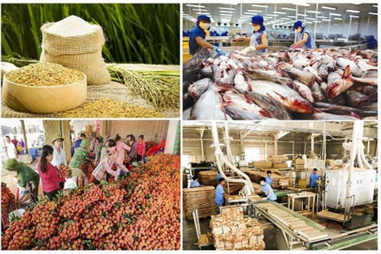 7 tháng năm 2021, xuất khẩu nông, lâm, thủy sản của Việt Nam tăng gần 27%