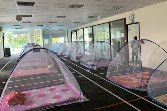 Giữ “vùng xanh” nhà xưởng để duy trì sản xuất