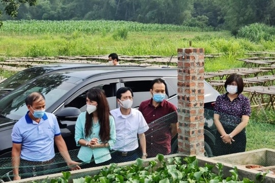 Phó Chủ tịch UBND tỉnh Lạng Sơn kiểm tra tình hình thực hiện phát triển kinh tế tập thể, hợp tác xã tại huyện Cao Lộc