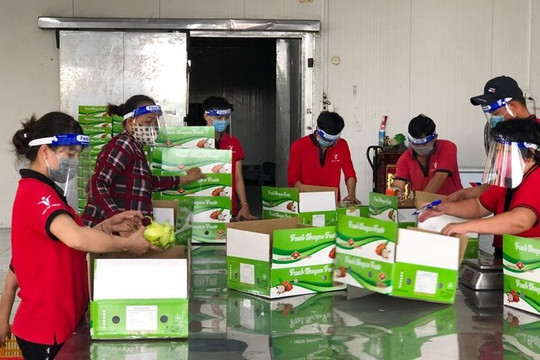 Tập trung gỡ khó cho lưu thông nông sản những tháng cuối năm