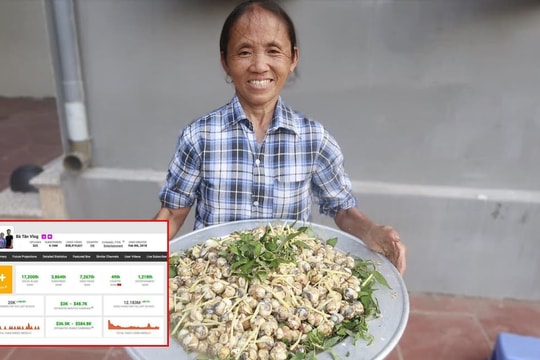 Kênh Bà Tân Vlog giảm sức hút, liên tục bị 'bóc phốt' vẫn đạt thu nhập khủng