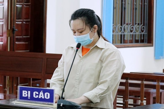 Dùng 9 "sổ đỏ" giả, lừa đảo chiếm đoạt hơn 8 tỷ đồng