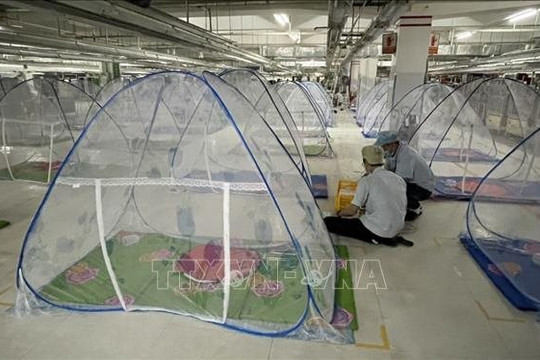 Doanh nghiệp kiến nghị điều chỉnh “3 tại chỗ” để đảm bảo sản xuất