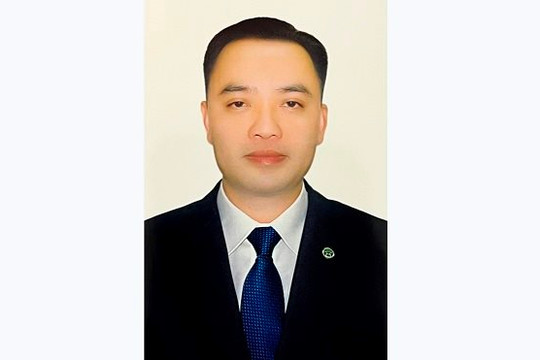 Thủ tướng bổ nhiệm Phó Chủ tịch chuyên trách Hội đồng quản lý BHXH Việt Nam
