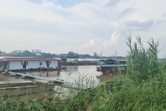 Lênh đênh xóm chài còn lại duy nhất của Thủ đô giữa mùa dịch bệnh