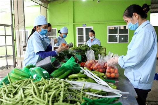 Đảm bảo hàng hoá cho người dân khi dịch COVID-19 tiếp tục diễn biến phức tạp