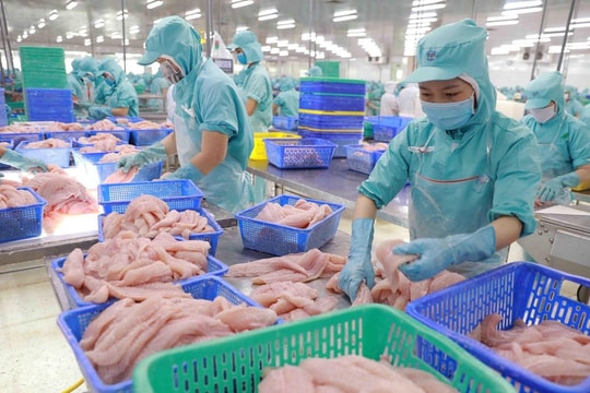 Hợp tác cung ứng hàng thủy sản cho xuất khẩu