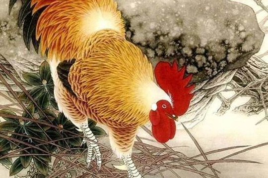 Người tuổi Khỉ, Dê, Hổ, Gà, Chó mở nó ra và xem vận mệnh của mình càng sớm càng tốt