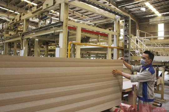 Công ty gỗ MDF VRG Quảng Trị: Phát triển bền vững giữa đại dịch
