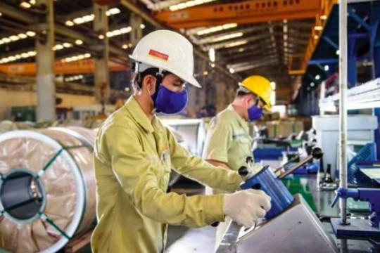 Tập đoàn Hoa Sen tăng trưởng mạnh giữa đại dịch covid-19
