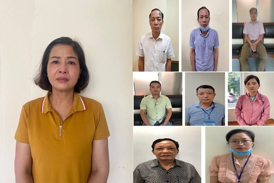 Nhiều vụ án nghiêm trọng liên quan đến đấu thầu, nguyên nhân do đâu?