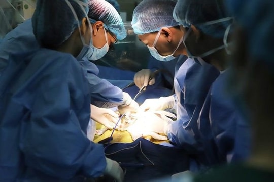 Ghép gan giành lại sự sống cho bé gái 18 tháng mắc ung thư gan giai đoạn cuối