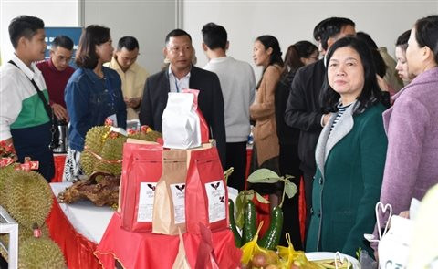 OCOP - Động lực mới phát triển kinh tế nông thôn