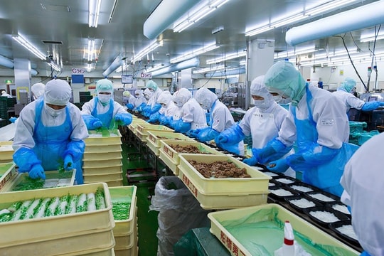 Xuất khẩu thủy sản vẫn có “gam mầu” sáng