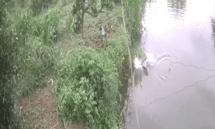 Bé trai vô tình ngã rồi chìm dần giữa hồ nước vắng, khoảnh khắc chủ hồ lao xuống cứu sống bé khiến tất cả lặng người