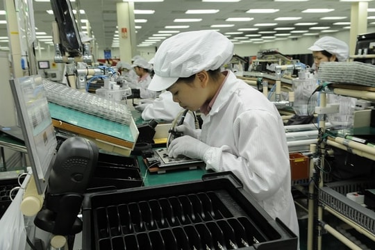 Nắm bắt xu hướng tiêu dùng mới đẩy mạnh xuất khẩu sang Tây Ban Nha