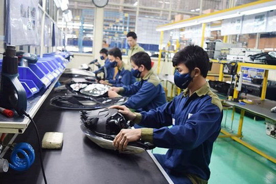 Đề xuất phát triển 'doanh nghiệp xanh' để duy trì sản xuất