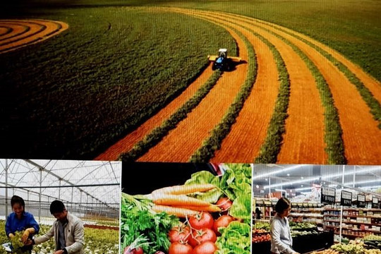 Cần xây dựng thương hiệu nông nghiệp hữu cơ “made in Vietnam”