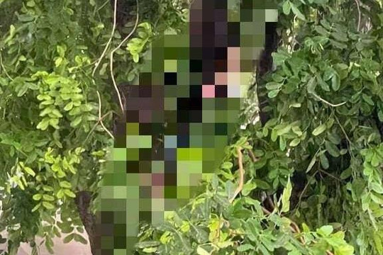 Người đàn ông tử vong trong công viên Thành Công dương tính Covid-19