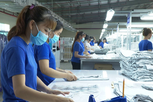 Ngăn chặn nguy cơ đứt gãy chuỗi lao động