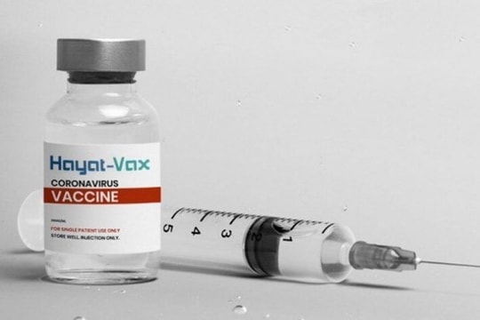 Thủ tướng giao Bộ Y tế xem xét cấp phép vắc xin Covid-19 Hayat-Vax
