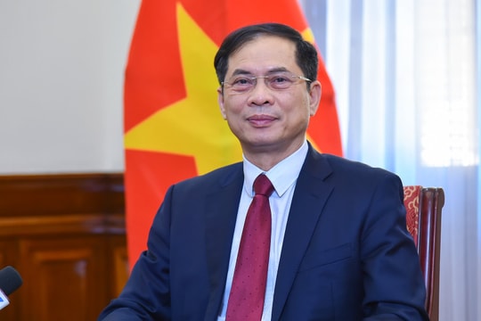 Bộ trưởng Bùi Thanh Sơn: Cộng đồng người Việt Nam ở nước ngoài là một bộ phận không tách rời 