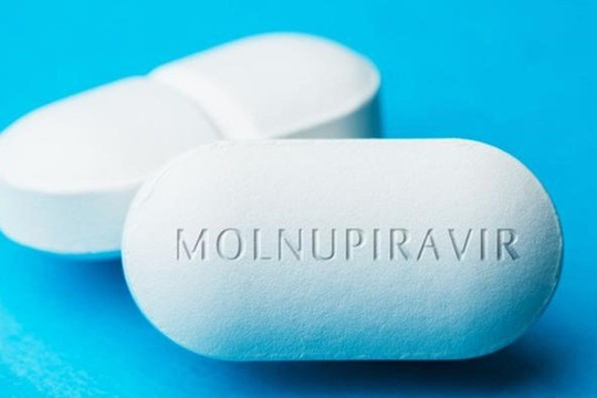 Hơn 300.000 viên thuốc kháng virus molnupiravir dùng để điều trị F0 tại nhà đã về đến Tp.HCM