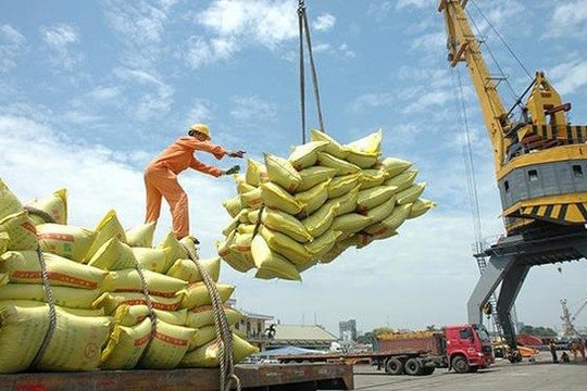 Giá gạo xuất khẩu thấp nhất trong hơn 1 năm qua