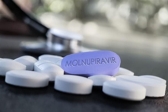 Hàng nghìn liều thuốc Molnupiravir điều trị F0 về Việt Nam