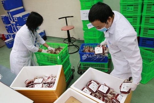 Thêm 2.000 đơn vị máu chi viện TP.HCM
