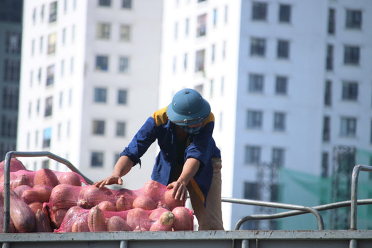 Gần 300 tấn lương thực lên đường "chi viện" miền Nam