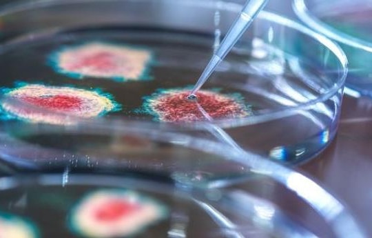 Tin vắn thế giới ngày 31/8: Phát hiện biến thể C.1.2 nhiều đột biến nhất so với virus SARS-CoV-2 gốc