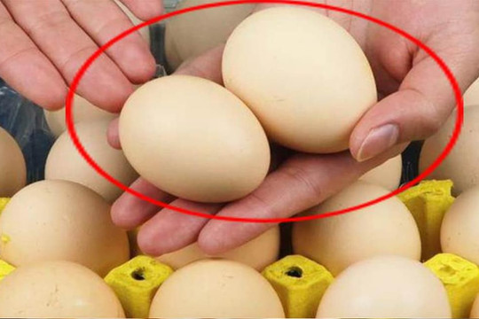 Khi mua trứng, tôi nên chọn những quả to hơn hay những quả nhỏ hơn? Cô chủ trại gà nói nhỡ miệng, các bạn đọc xong thì mua nhé!