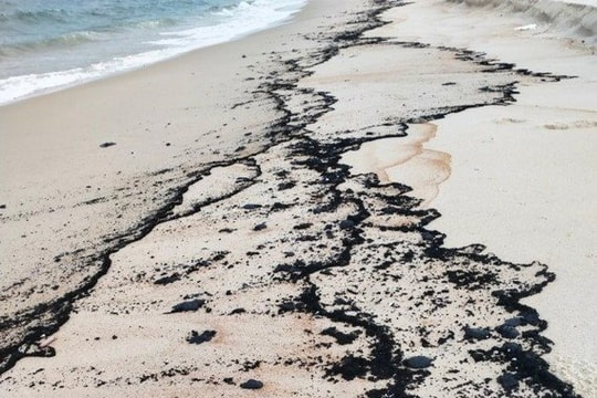 Điều tra vệt dầu lạ xuất hiện trên bờ biển Quảng Bình