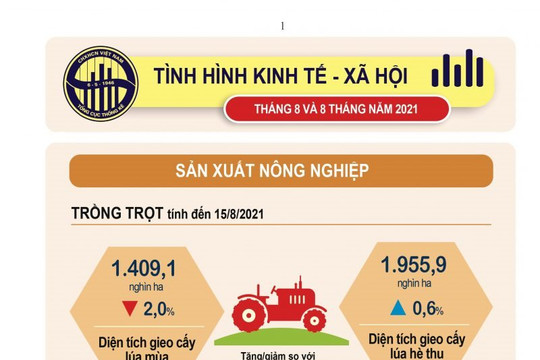 Infographic: Tình hình sản xuất nông nghiệp tính đến 15/8