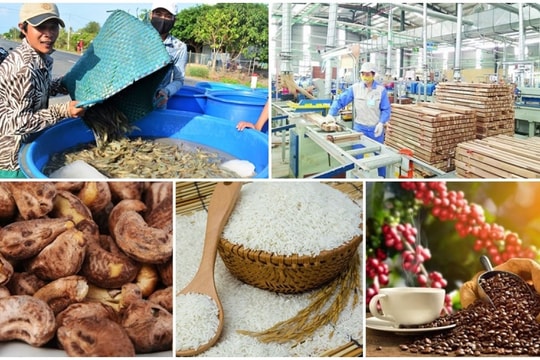 Xuất khẩu nông sản 8 tháng năm 2021 tăng 21,6%