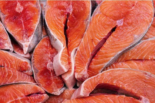 Cá biển nào có giá trị dinh dưỡng cao nhất?