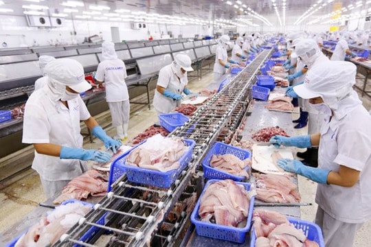 Xuất khẩu các mặt hàng thủy sản chủ lực giảm mạnh
